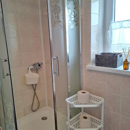 U Tylki Studio Z Widokiem Na Gory Zakopane Ngoại thất bức ảnh